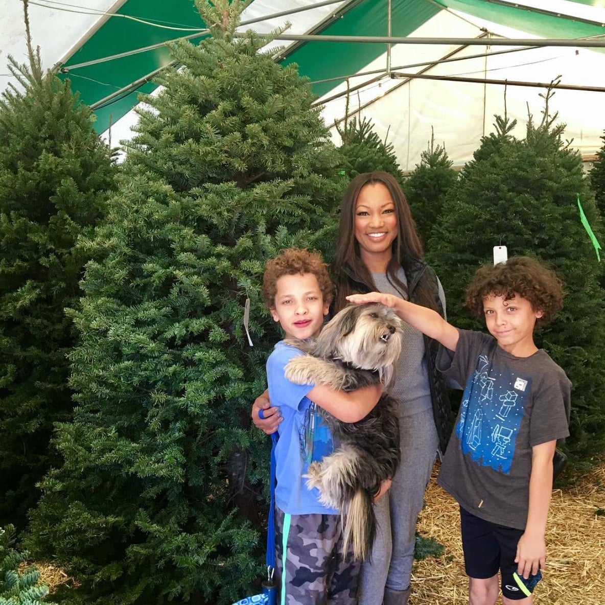 Proud Parents: In 2016 Celebrity Instagrams Were All About Their Adorable Mini-Mes
